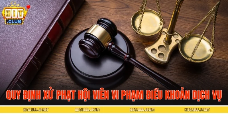 Quy định xử phạt hội viên vi phạm điều khoản dịch vụ