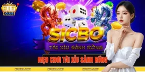 Tổng Hợp Các Mẹo Chơi Tài Xỉu Sảnh Rồng Hiệu Quả Tại HITCLUB